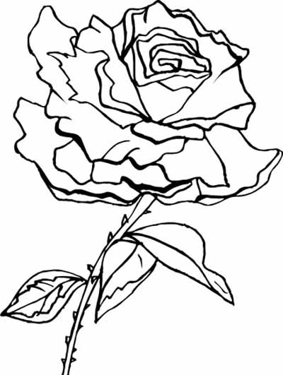 Раскраска: розы (природа) #161966 - Бесплатные раскраски для печати