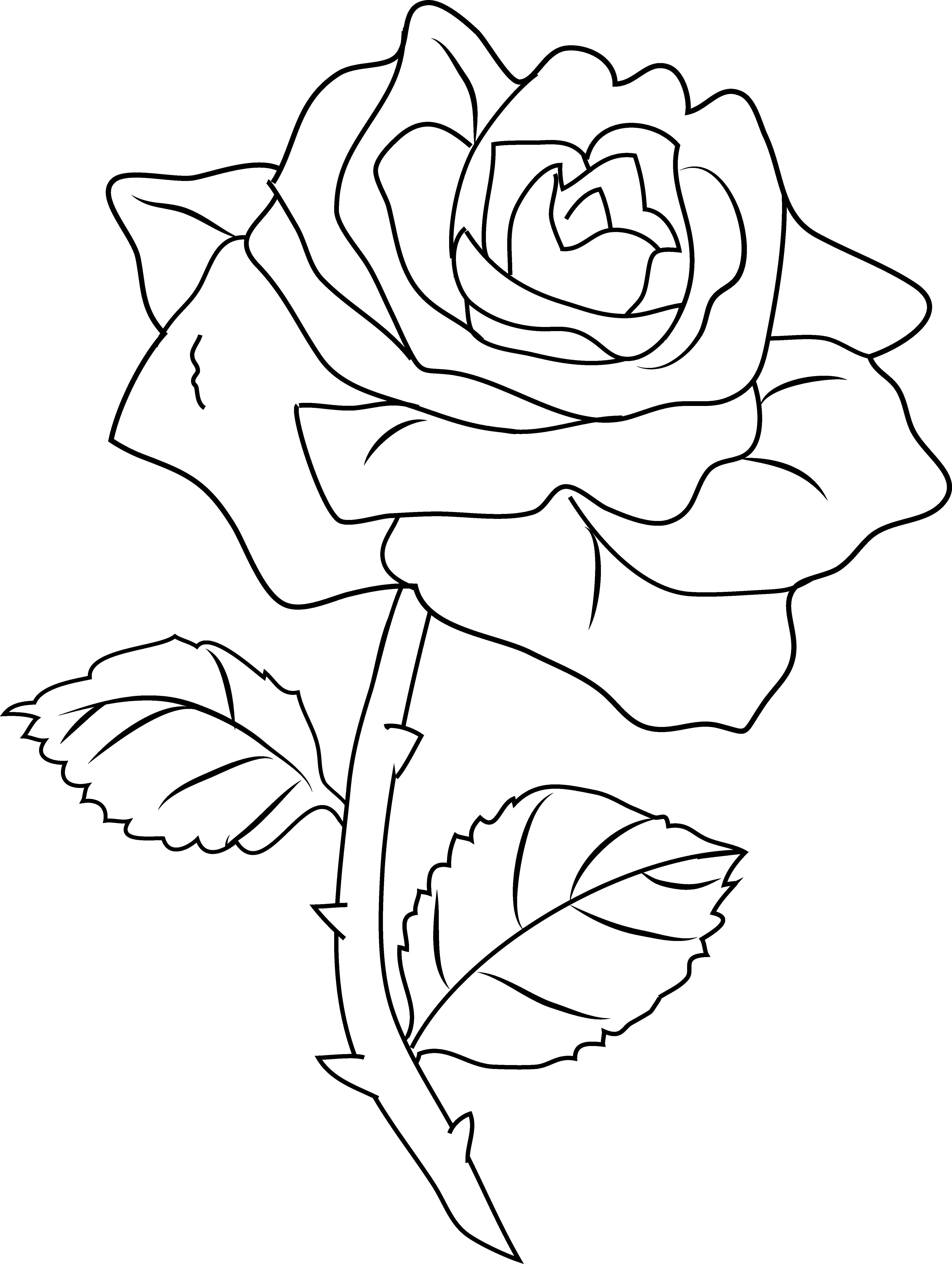 Раскраска: розы (природа) #161971 - Бесплатные раскраски для печати