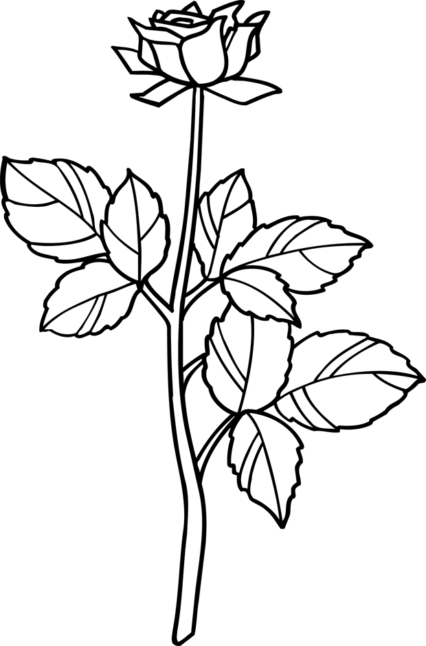 Раскраска: розы (природа) #161973 - Бесплатные раскраски для печати