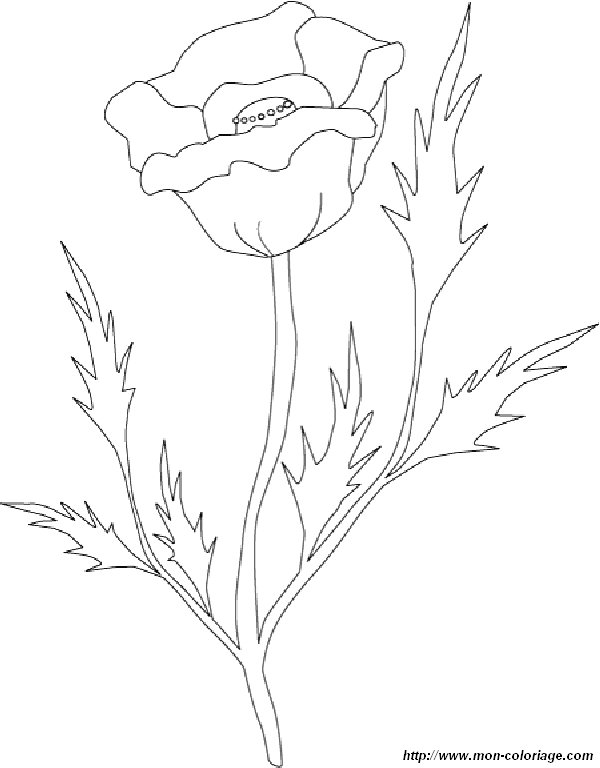 Раскраска: розы (природа) #161975 - Бесплатные раскраски для печати