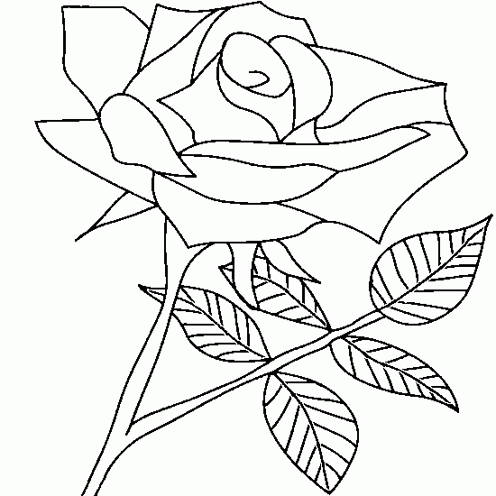 Раскраска: розы (природа) #161982 - Бесплатные раскраски для печати