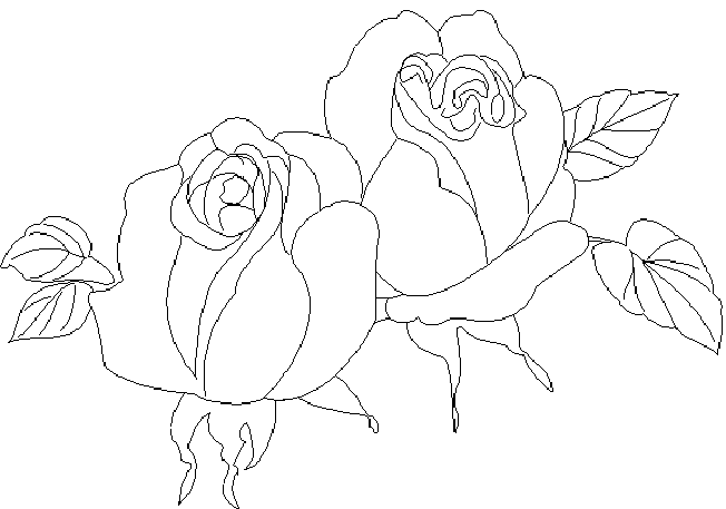 Раскраска: розы (природа) #161988 - Бесплатные раскраски для печати