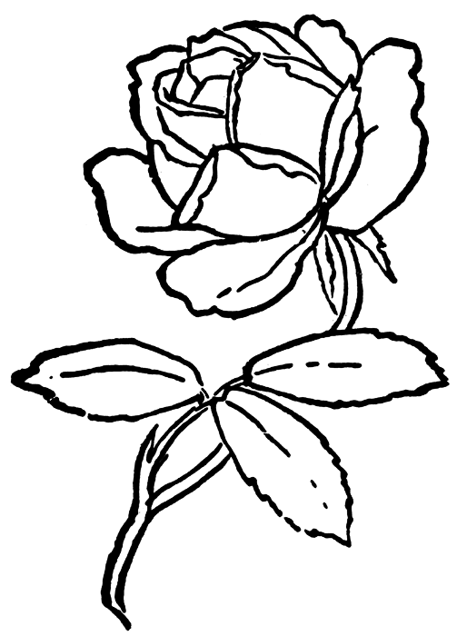 Раскраска: розы (природа) #161989 - Бесплатные раскраски для печати