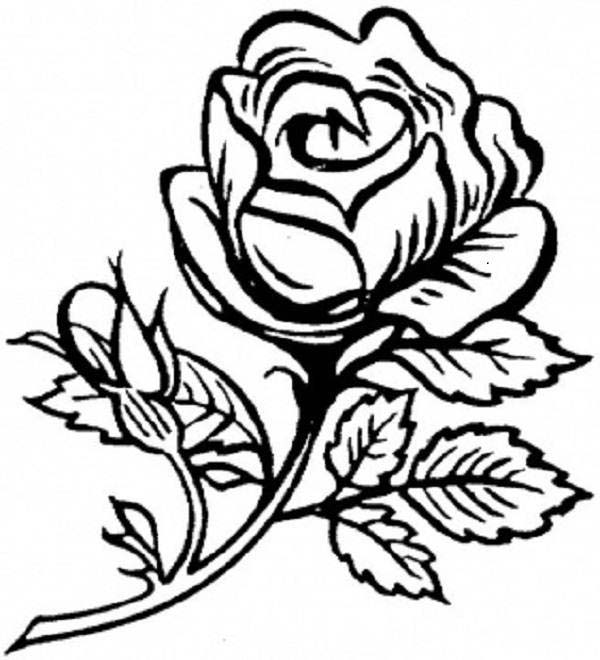 Раскраска: розы (природа) #162020 - Бесплатные раскраски для печати