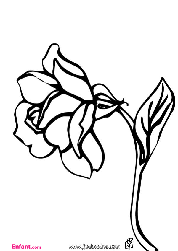 Раскраска: розы (природа) #162026 - Бесплатные раскраски для печати