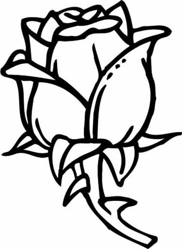 Раскраска: розы (природа) #162032 - Бесплатные раскраски для печати