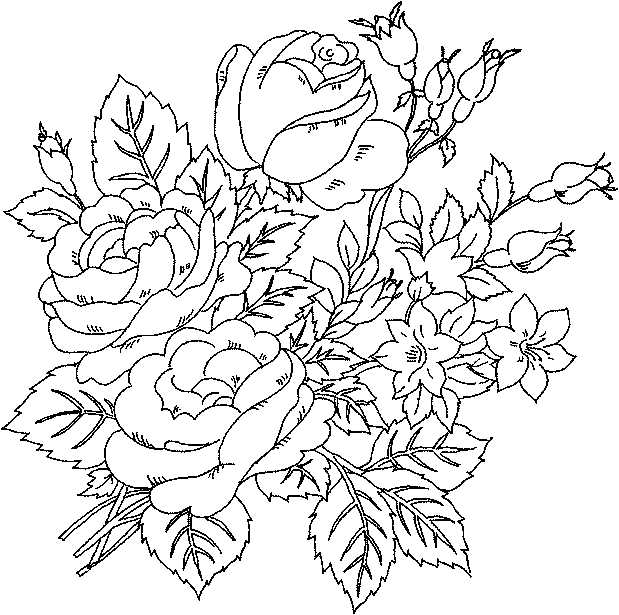 Раскраска: розы (природа) #162035 - Бесплатные раскраски для печати