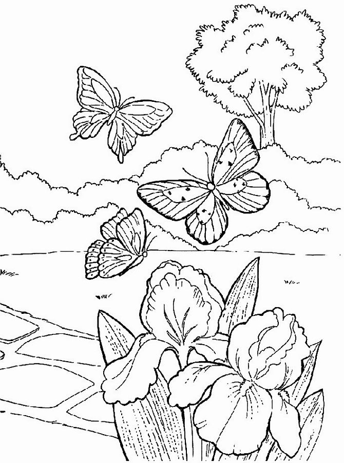 Раскраска: Весенний сезон (природа) #164753 - Бесплатные раскраски для печати