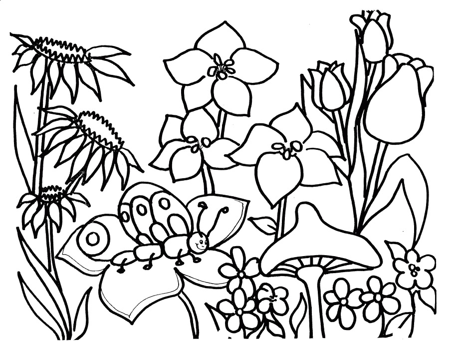 Раскраска: Весенний сезон (природа) #164766 - Бесплатные раскраски для печати
