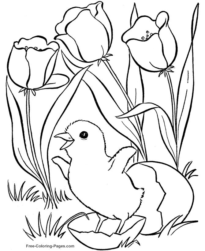 Раскраска: Весенний сезон (природа) #164776 - Бесплатные раскраски для печати