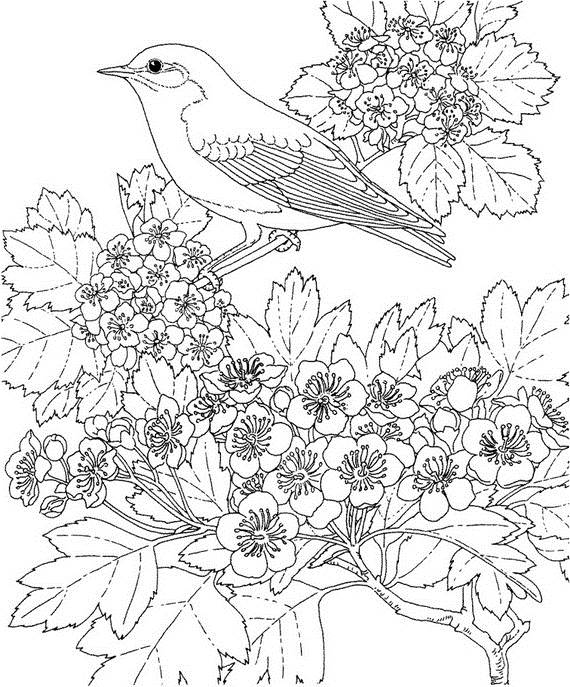Раскраска: Весенний сезон (природа) #165058 - Бесплатные раскраски для печати
