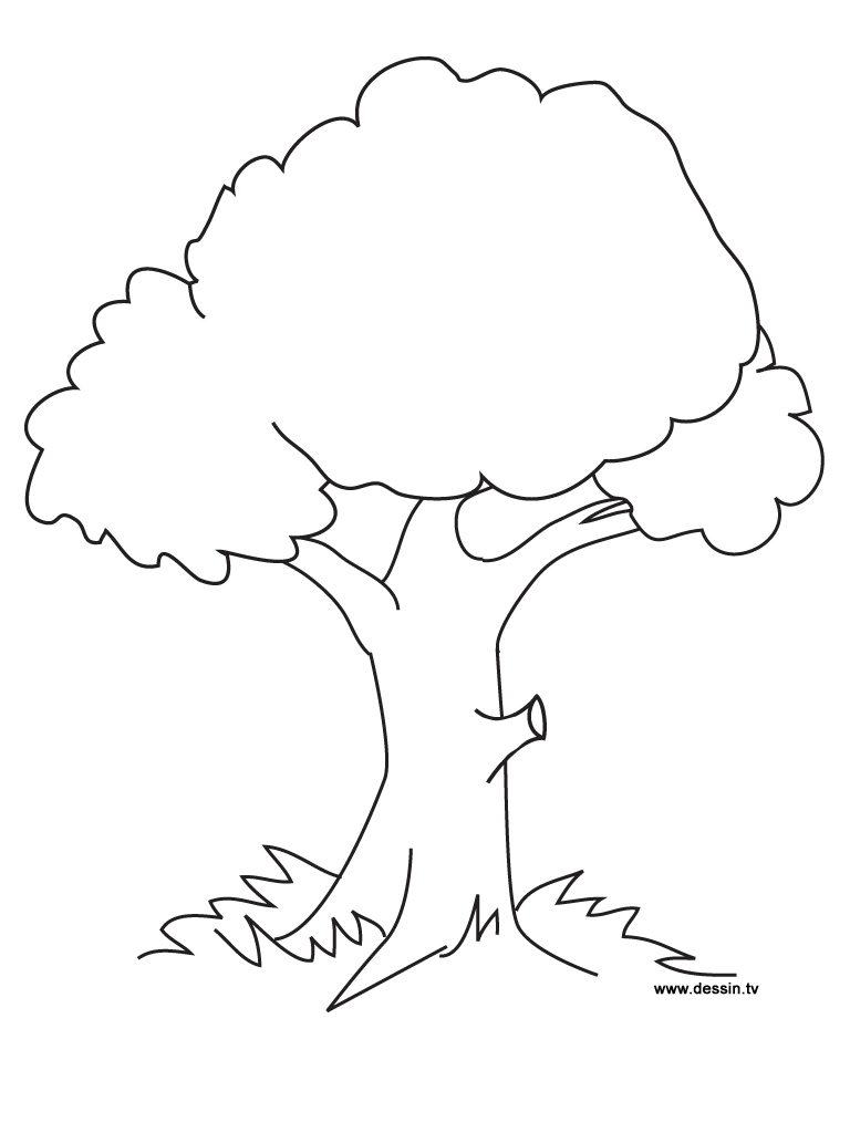 Раскраска: дерево (природа) #154667 - Бесплатные раскраски для печати