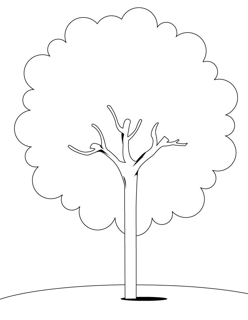 Раскраска: дерево (природа) #154670 - Бесплатные раскраски для печати