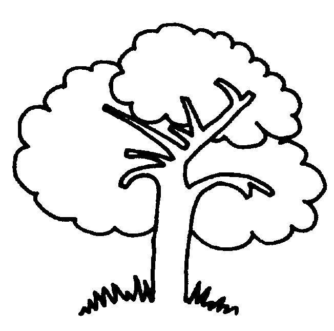 Раскраска: дерево (природа) #154672 - Бесплатные раскраски для печати
