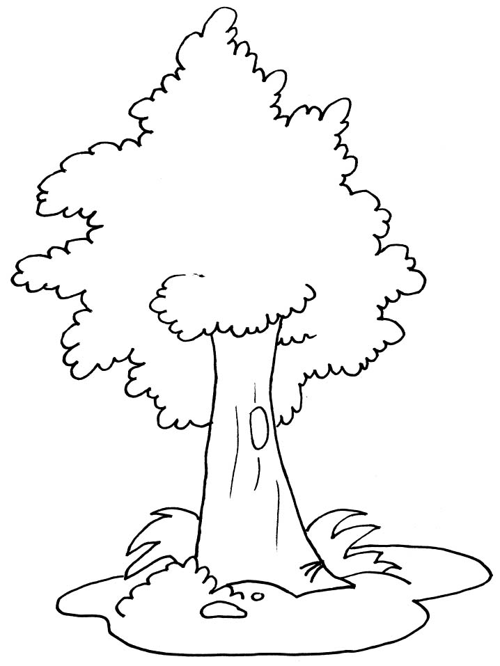 Раскраска: дерево (природа) #154680 - Бесплатные раскраски для печати