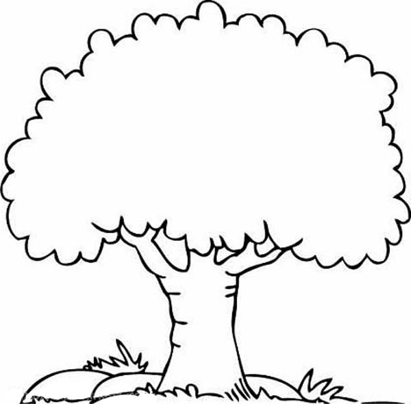 Раскраска: дерево (природа) #154682 - Бесплатные раскраски для печати