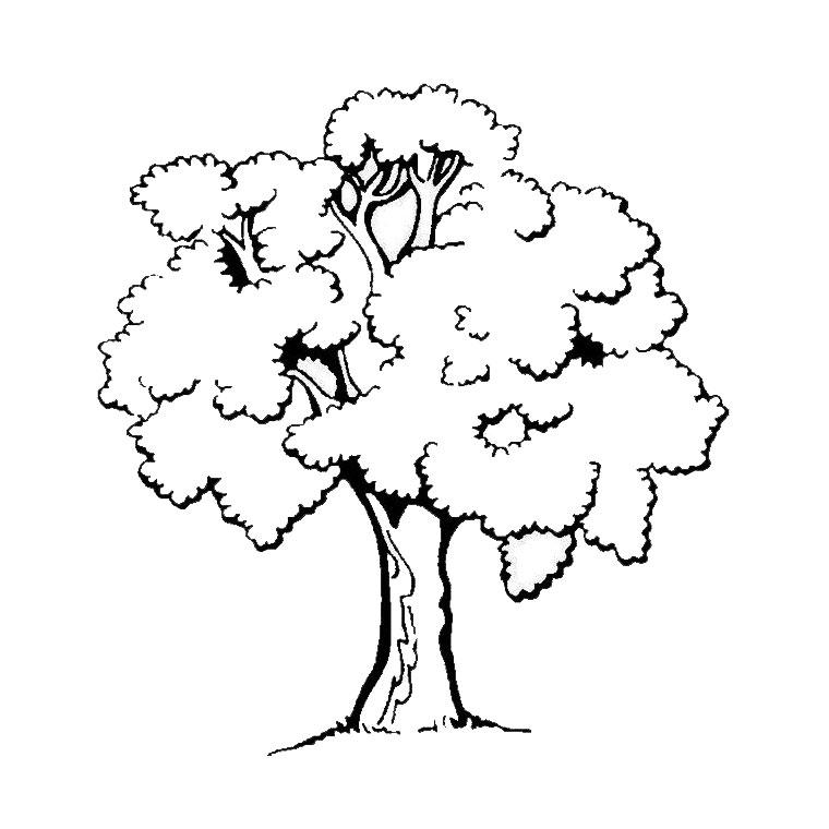 Раскраска: дерево (природа) #154683 - Бесплатные раскраски для печати