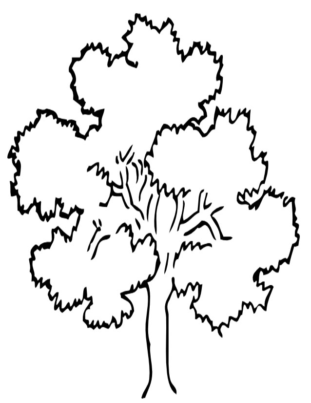 Раскраска: дерево (природа) #154701 - Бесплатные раскраски для печати