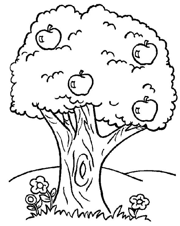 Раскраска: дерево (природа) #154702 - Бесплатные раскраски для печати
