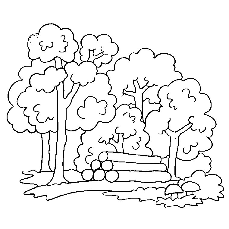 Раскраска: дерево (природа) #154706 - Бесплатные раскраски для печати