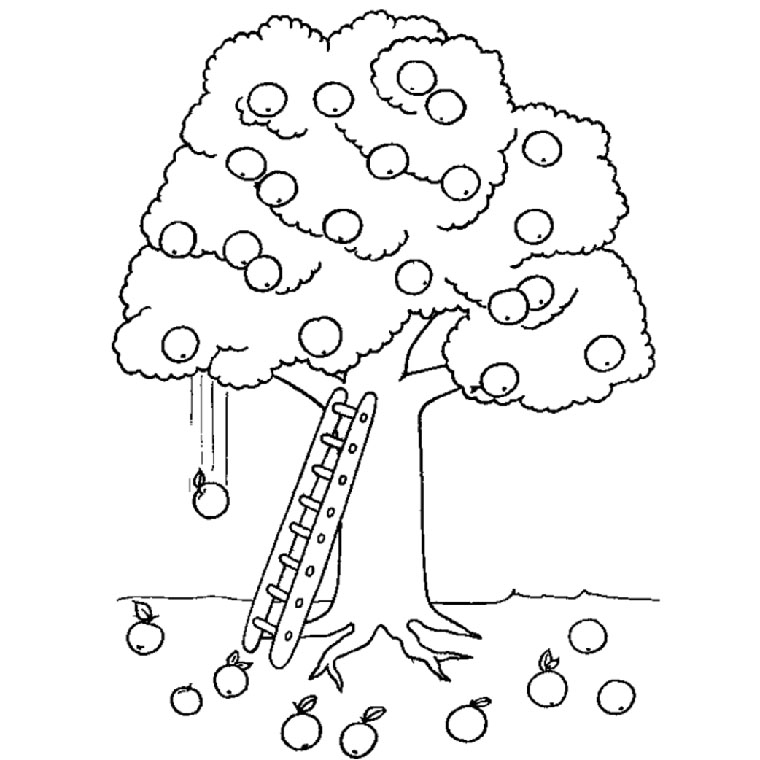 Раскраска: дерево (природа) #154718 - Бесплатные раскраски для печати