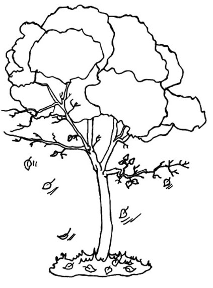 Раскраска: дерево (природа) #154720 - Бесплатные раскраски для печати