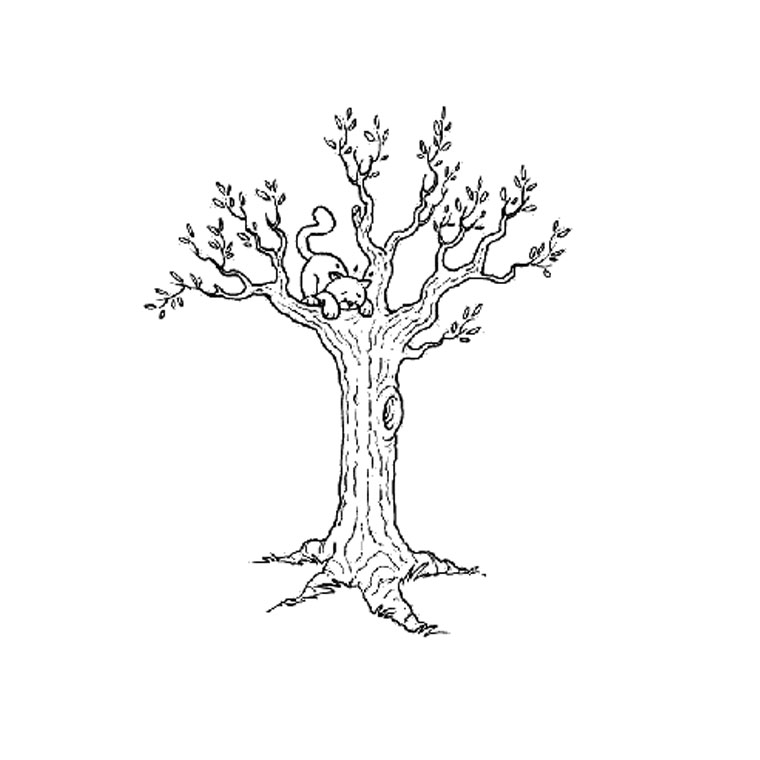 Раскраска: дерево (природа) #154721 - Бесплатные раскраски для печати