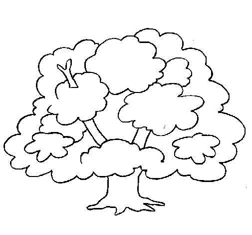 Раскраска: дерево (природа) #154730 - Бесплатные раскраски для печати