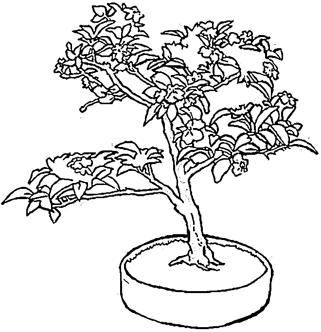 Раскраска: дерево (природа) #154738 - Бесплатные раскраски для печати
