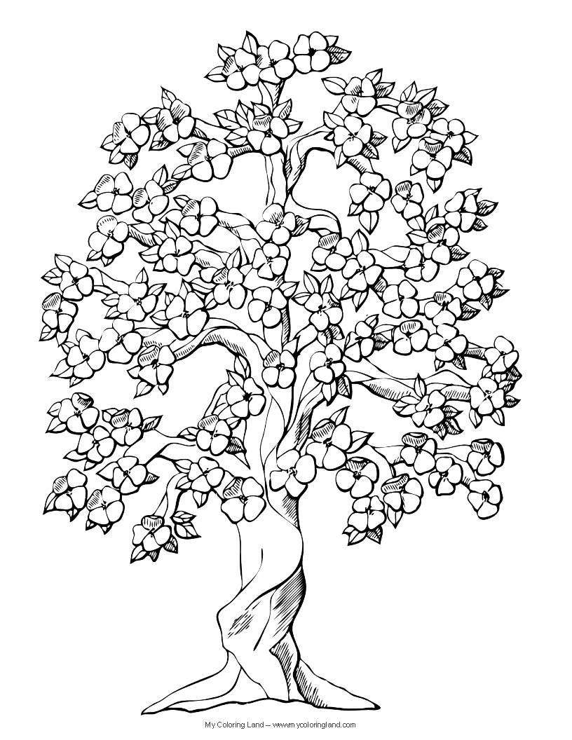 Раскраска: дерево (природа) #154739 - Бесплатные раскраски для печати