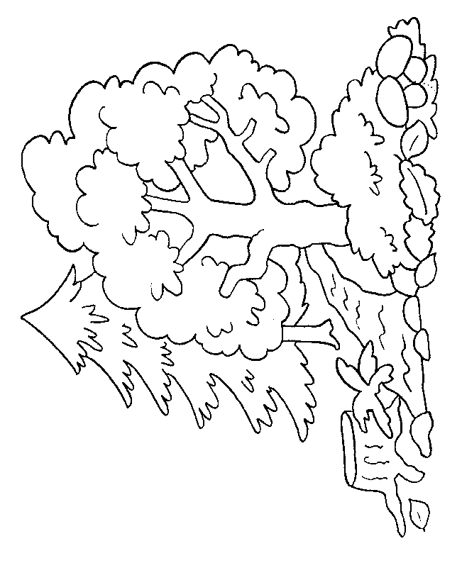 Раскраска: дерево (природа) #154741 - Бесплатные раскраски для печати