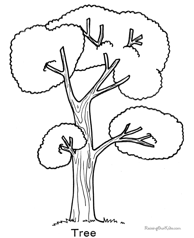 Раскраска: дерево (природа) #154747 - Бесплатные раскраски для печати