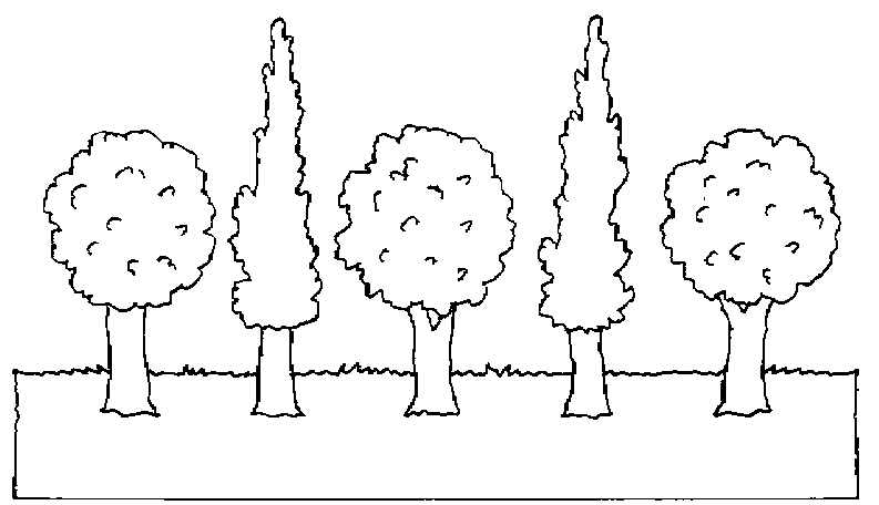 Раскраска: дерево (природа) #154752 - Бесплатные раскраски для печати