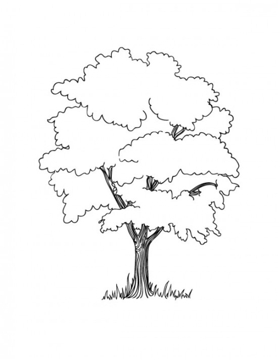 Раскраска: дерево (природа) #154760 - Бесплатные раскраски для печати