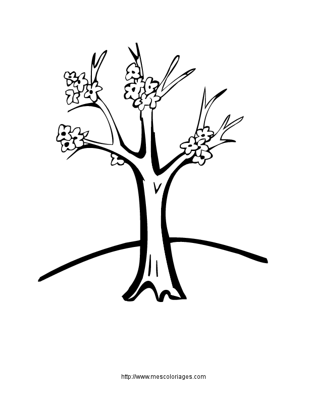 Раскраска: дерево (природа) #154761 - Бесплатные раскраски для печати