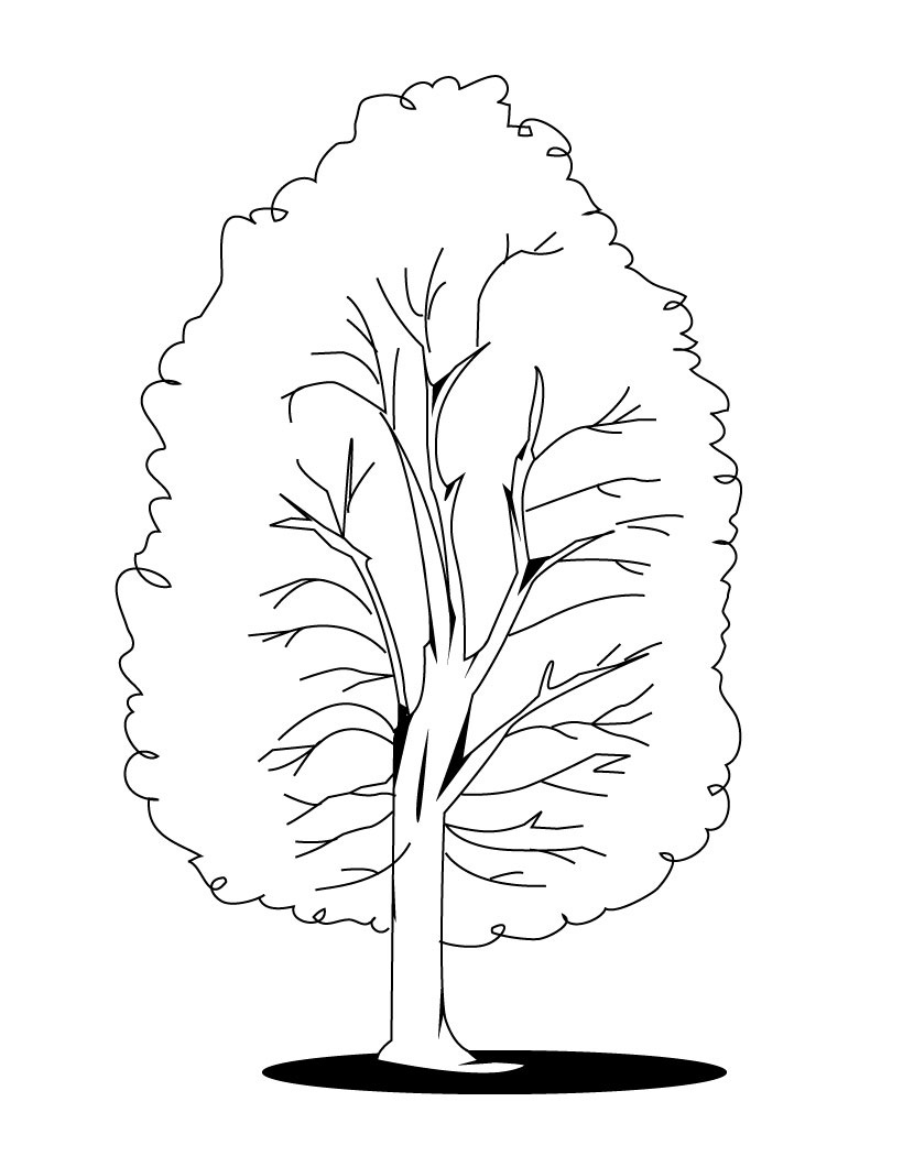 Раскраска: дерево (природа) #154791 - Бесплатные раскраски для печати