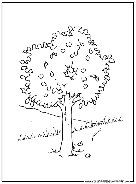 Раскраска: дерево (природа) #154804 - Бесплатные раскраски для печати
