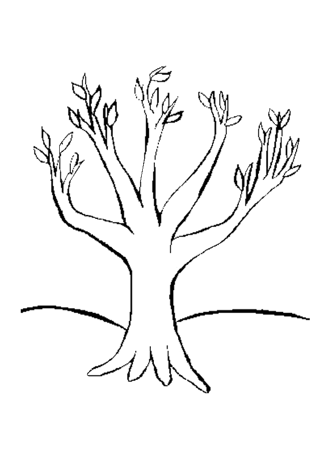 Раскраска: дерево (природа) #154810 - Бесплатные раскраски для печати