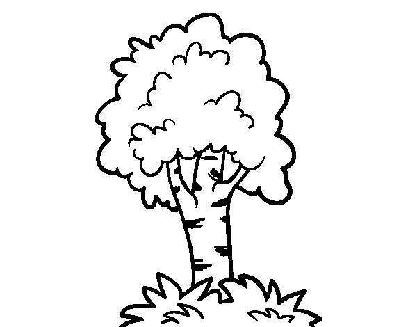 Раскраска: дерево (природа) #154819 - Бесплатные раскраски для печати