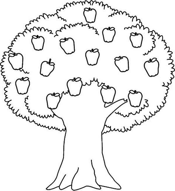 Раскраска: дерево (природа) #154851 - Бесплатные раскраски для печати