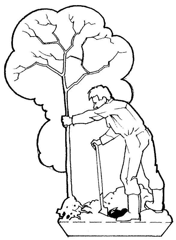 Раскраска: дерево (природа) #154874 - Бесплатные раскраски для печати