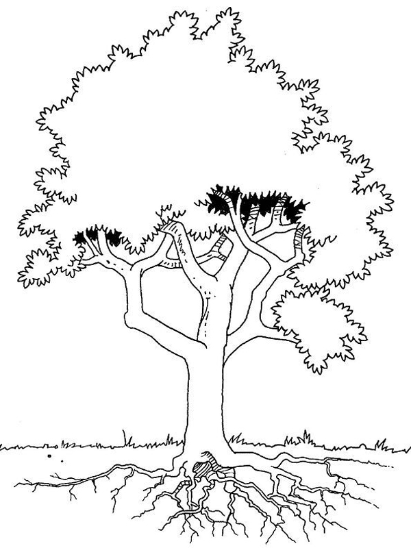 Раскраска: дерево (природа) #154887 - Бесплатные раскраски для печати