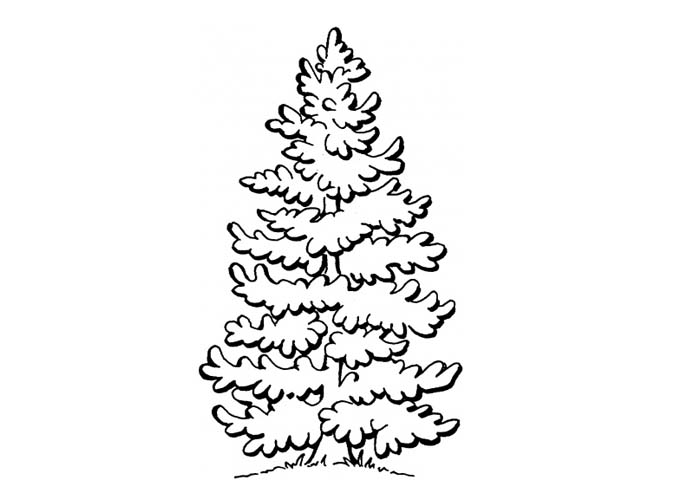 Раскраска: дерево (природа) #154909 - Бесплатные раскраски для печати