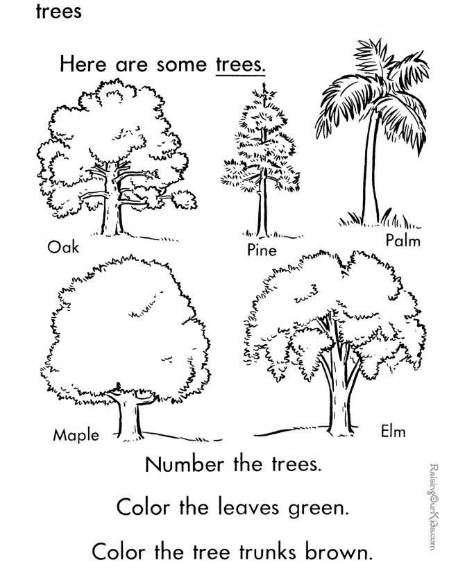 Раскраска: дерево (природа) #154914 - Бесплатные раскраски для печати