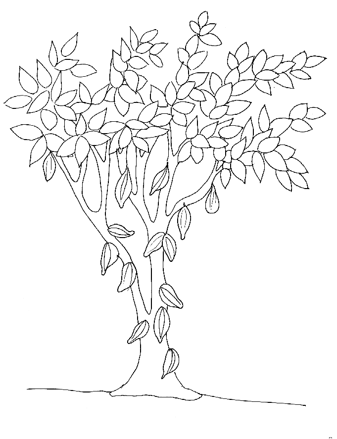 Раскраска: дерево (природа) #154928 - Бесплатные раскраски для печати