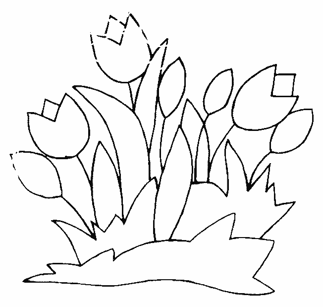Раскраска: тюльпан (природа) #161624 - Бесплатные раскраски для печати