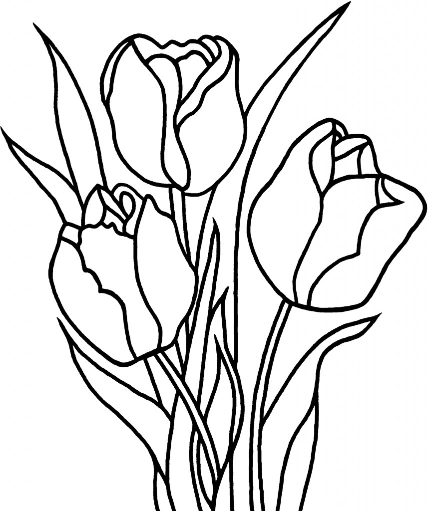 Раскраска: тюльпан (природа) #161634 - Бесплатные раскраски для печати