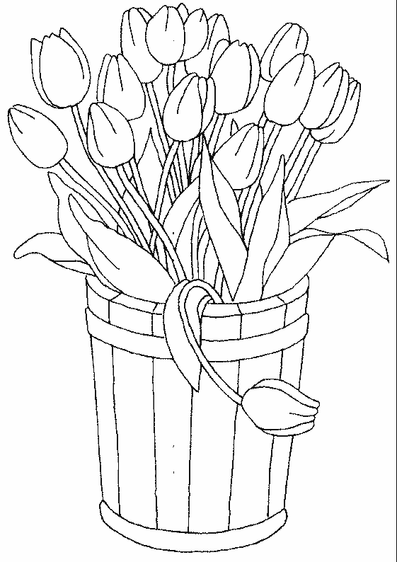 Шаблон тюльпан раскраска - 65 фото