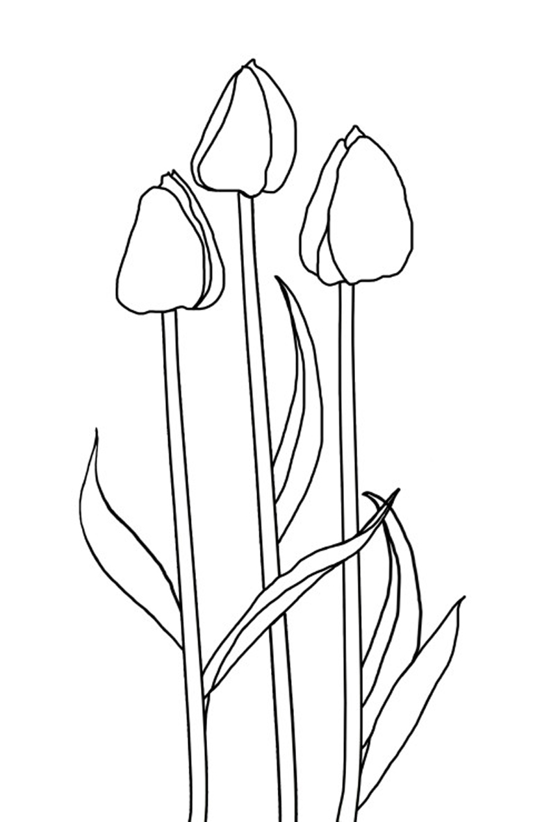 Раскраска: тюльпан (природа) #161667 - Бесплатные раскраски для печати