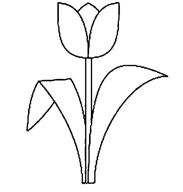 Раскраска Самый большой букет тюльпанов